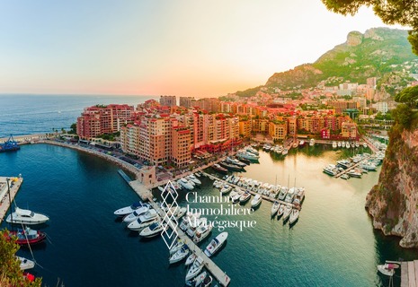 Monolocale a Fontvieille - Investimento locativo ideale