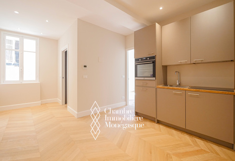 PALAIS BELVÉDÈRE - 2 PIÈCES RÉNOVÉ - USAGE MIXTE