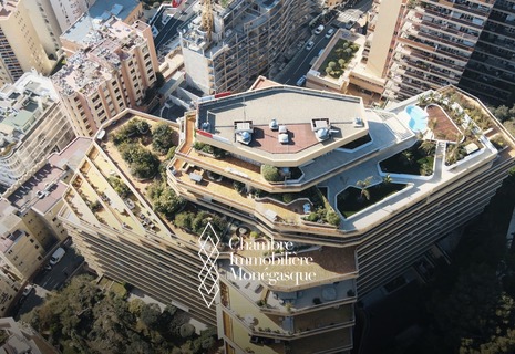 OFFICES - LUXURY RESIDENCE