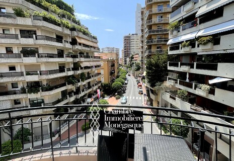 NICE 1 BR - Boulevard de Belgique