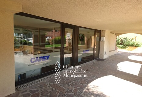 Raphael - Ufficio nuovo con vetrine sui giardini