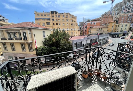 2 bed. apartment with beautiful volumes and high ceilings - Palais du Midi - Moneghetti