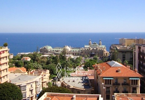 2 PIECES A DEUX PAS DU CASINO