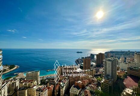 ANNONCIADE - Superbe appartement vue mer panoramique