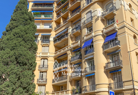 NEW - APPARTEMENT RÉNOVÉ DANS UN BEL IMMEUBLE BOURGEOIS