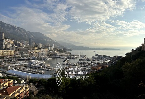 Un Immeuble à fort potentiel situé sur le port de la prestigieuse principauté de Monaco.