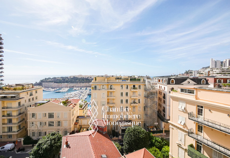 MONTE-CARLO - SHAKESPEARE - 2-BEDROOM FLAT - SEA VIEW