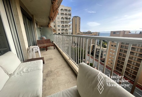 2 Rooms apartment very bright facing south - Chateau d'Azur - Larvotto