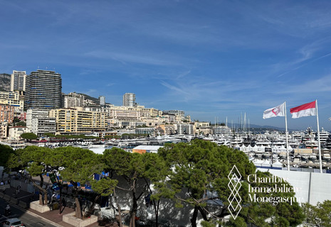 PALAIS HERACLES - Port of Monaco, 2 rooms with view of the F1