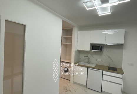 LES LIGURES - STUDIO RENOVE AVEC TERRASSE ET CAVE