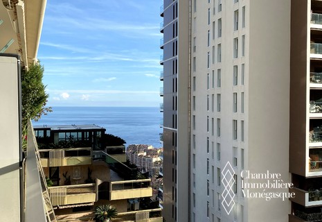 Monaco / Bel Horizon / Grand 4 pièces avec cave et parking