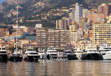 EMPLACEMENT DE PARKING SUR LE PORT HERCULE - SHANGRI-LA