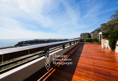 PARK PALACE - 6/7 PIÈCES DE GRAND STANDING