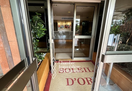 SOLEIL D'OR - Appartement Usage Mixte