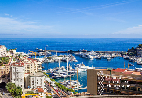 Rare on the market: Completely renovated apartment with a panoramic view of the port of Monaco