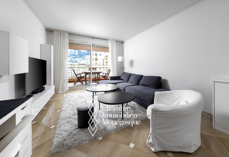 Charming apartment in Fontvieille with views towards the Tête de Chien