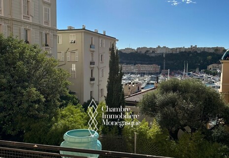 Bel appartement bourgeois au coeur de Monaco