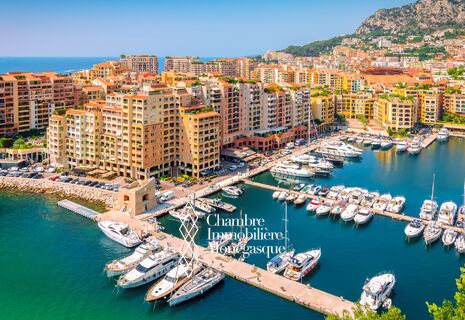 FURNISHED OFFICE - LOUIS II STADIUM - FONTVIEILLE