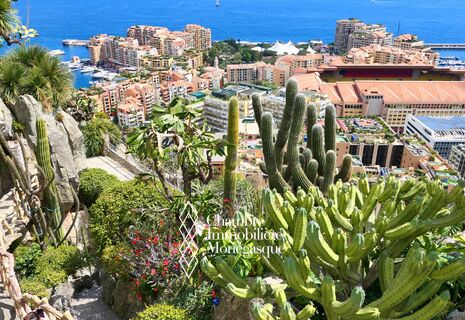 JARDIN EXOTIQUE - BEAU BUREAU