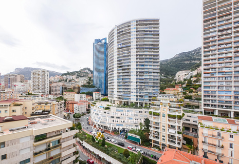 CHÂTEAU D'AZUR - 2-BEDROOM FLAT ROOFTOP DUPLEX