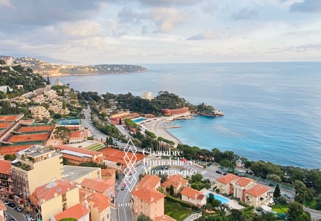 Parc Saint Roman- Magnifique 2 pièces rénové en étage élevé