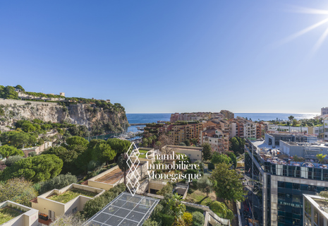 Fontvieille - Le Méridien - 2 pièces - Immeuble récent