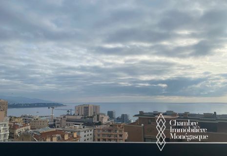 Monte Carlo / Millefiori / Spazioso monolocale con terrazza