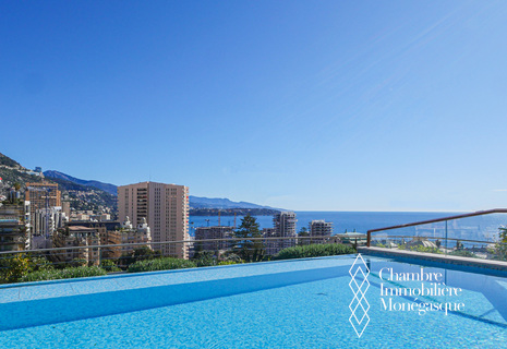 ONE MONTE CARLO - PENTHOUSE TRIPLEX WITH POOL