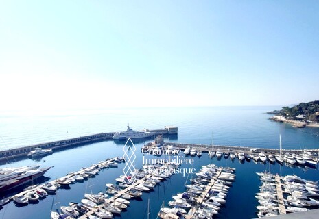 Unique !!! Penthouse with private pool-Fontvieille