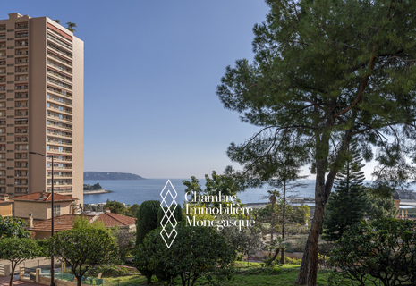 Charmant appartement - Trocadéro - Vue mer