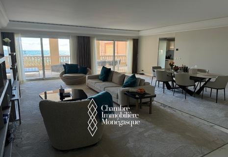 Somptueux Appartement Terasse du port