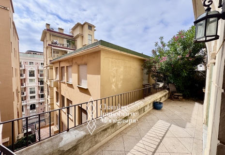 MONTE -CARLO | NICE 2 ROOMS APARTMENT