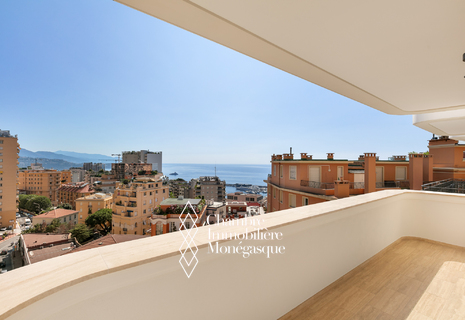Vente Exclusivité Grand appartement 3 pièces Monaco nouvelle résidence