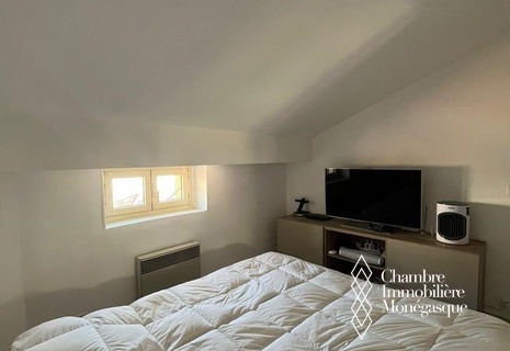 Rental 1 bedroom attic apartment Monaco Condamine