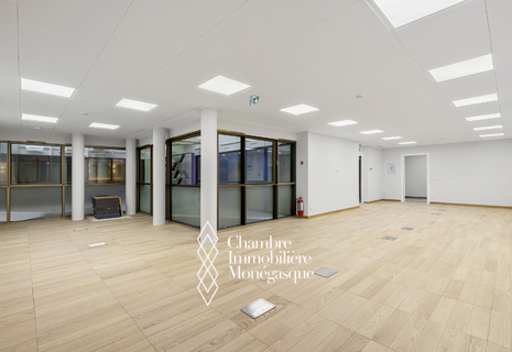 Monaco office rental Condamine Luxury Residence