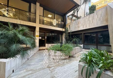 Spacious office - Montaigne - Carré d'Or