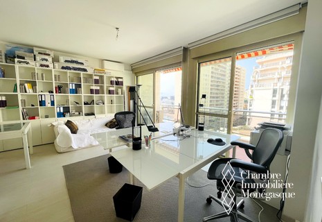 Larvotto - Le Vallespir - One bedroom apartment with terrace and parking - Mixed use