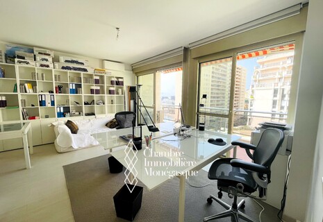 Larvotto - Le Vallespir - One bedroom apartment with terrace and parking - Mixed use