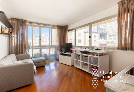 BRIGHT TWO-ROOM APARTMENT WITH PARKING - CHÂTEAU AMIRAL
