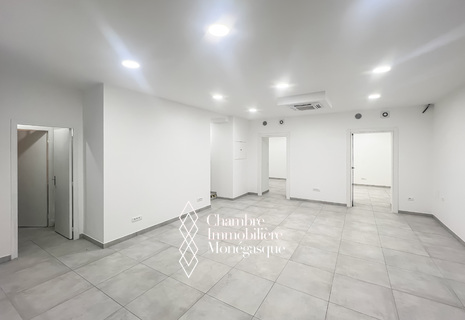 CONDAMINE - PREMISES/OFFICES IN DUPLEX WITH SHOP WINDOW