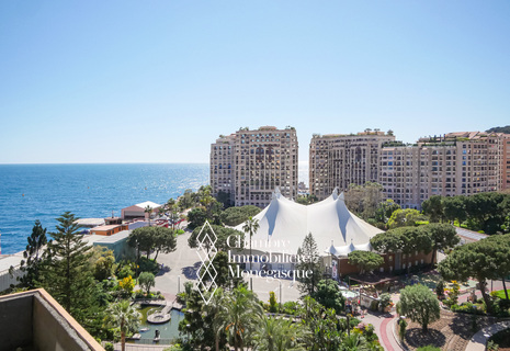 ROSA MARIS - 2 PIÈCES RENOVE - VUE ROSERAIE ET MER