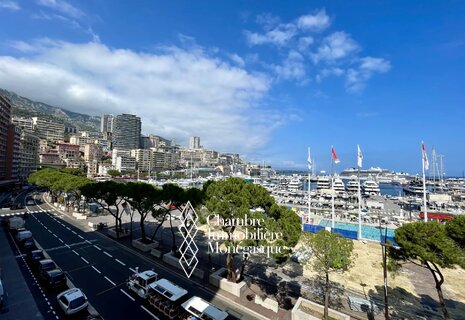 2 Pièces sur le Port Hercule vue Grand Prix de Formule 1