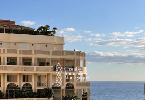 Fontvieille - Grand appartement 2/3 pièces avec terrasse et park