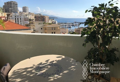 Unique one bedroom apartment  + office in Stella with sea views