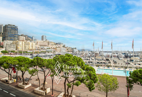Spacieux 2-Pièces en première ligne du Port Hercule