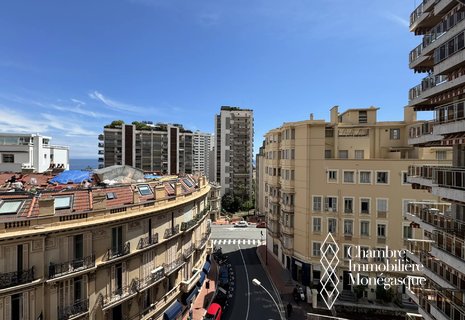 Beau et lumineux 3 pièces sur Monaco-Carlo