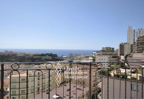 PENTHOUSE ROOF QUARTIER RESIDENTIEL