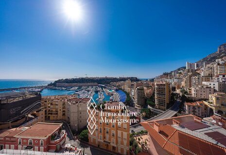 Attico duplex con rooftop - Monte-Carlo