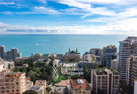 STUDIO WITH A BREATHTAKING VIEW