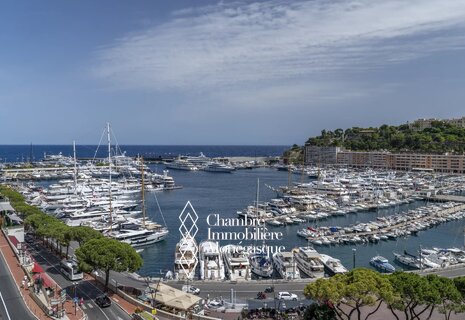 Condamine - Le Panorama - Appartamento unico